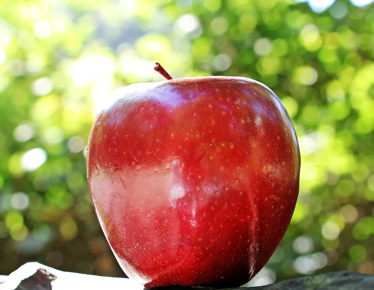Beginner’s Guide to Ethylene Gas: How Fruit Ripens and How to Control It