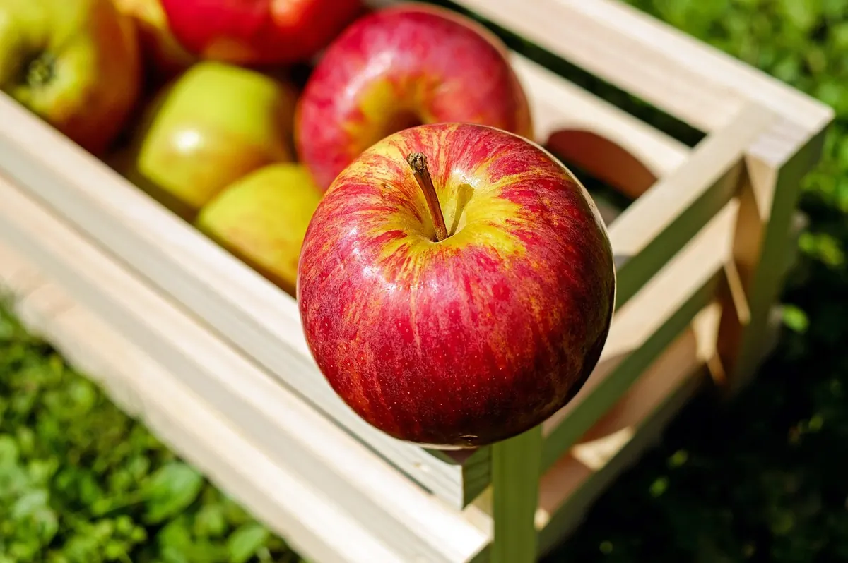 Best Equipment for Home Ripening: Hygrometers, Crates, Bags and Mats